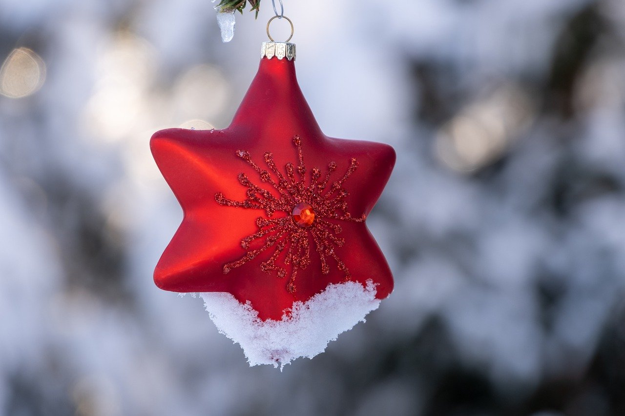 weihnachtsstern